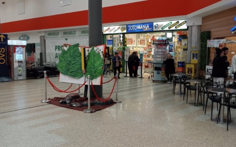 Colpo da 100mila euro al centro commerciale Mirabello